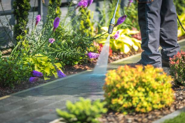 Best Winterizing Services  in Burlington, CO
